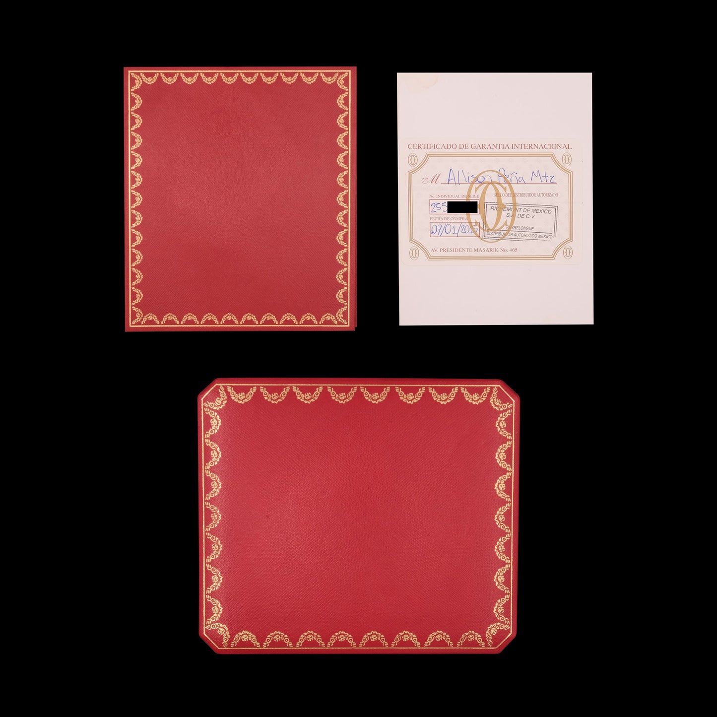 Cartier Santos 100 Mediano DLC ref.2878 Full-Set de 2015