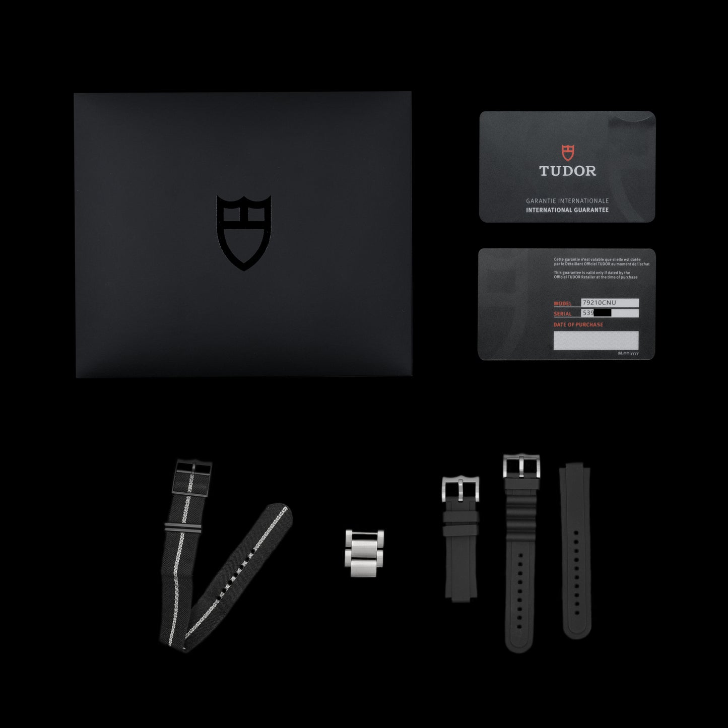 Tudor Black Bay Ceramic M79210cnu-0001 Full-Set del 2024